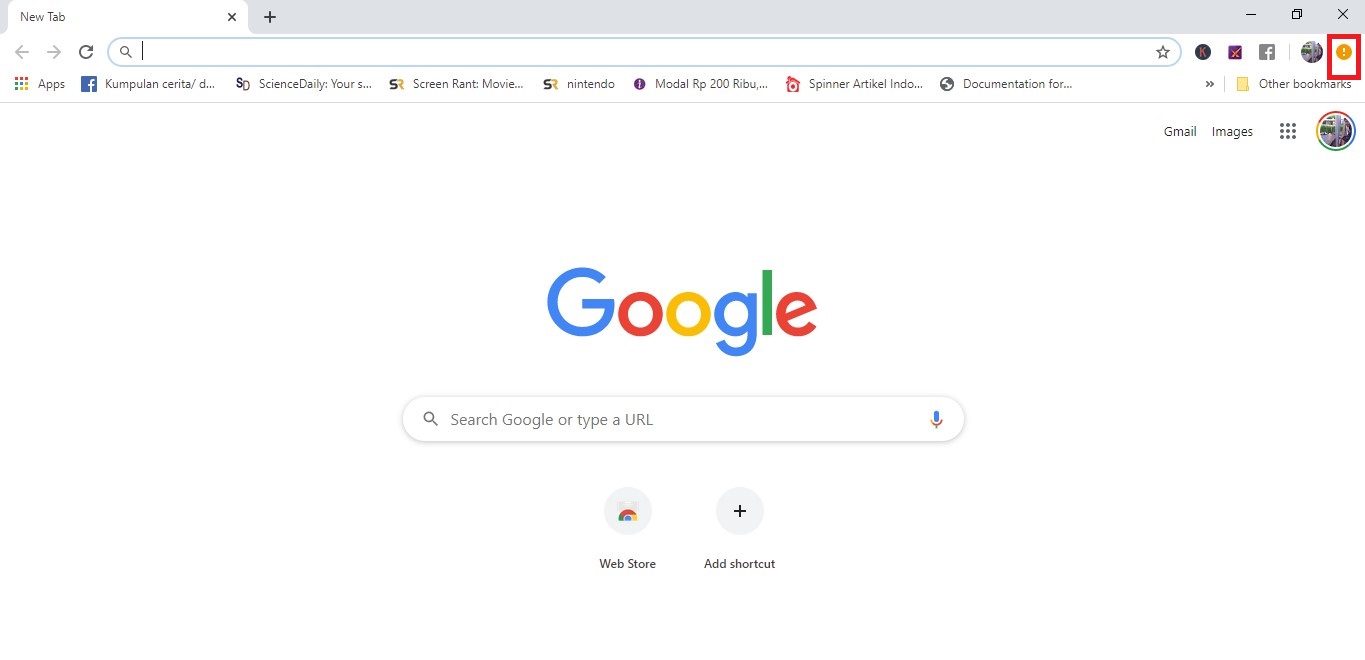 Tampilan Google Chrome (Dok.Istimewa)