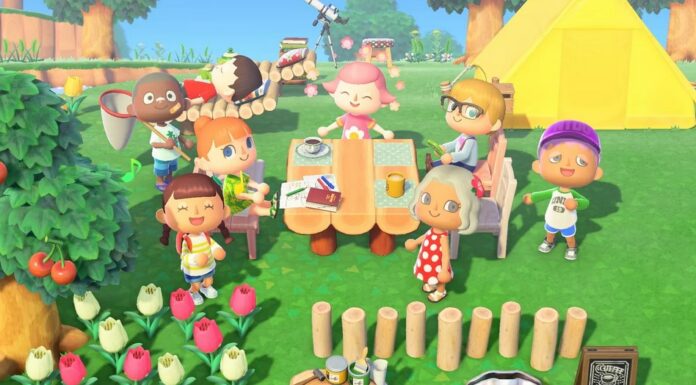 Game Animal Crossing: New Horizon (Polygon)